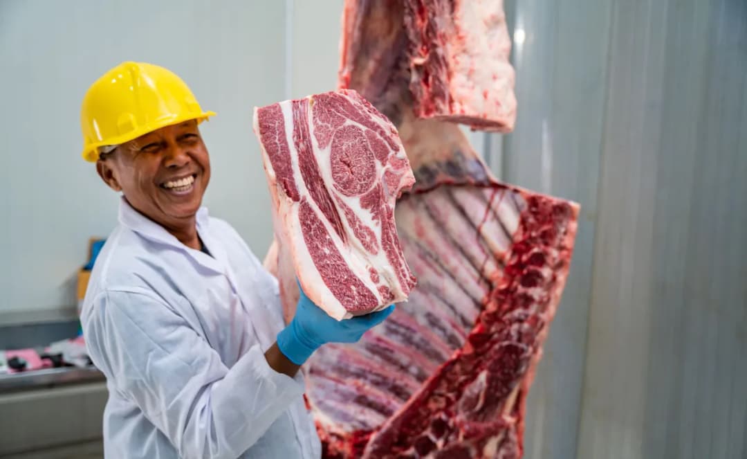 Ceny wołowiny Wagyu w Polsce: co wpływa na ich wysokość?